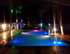 Swimming pool of Palm Beach Paradise