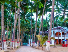 Entrance of Palm Beach Paradise